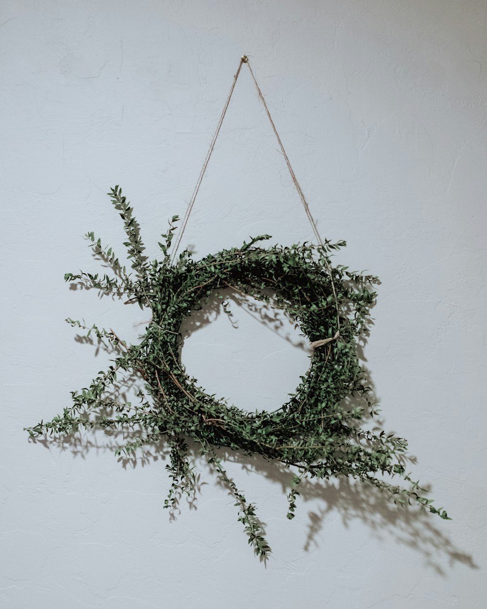 green leafed wreath on wall