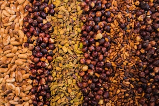 assorted seed lot