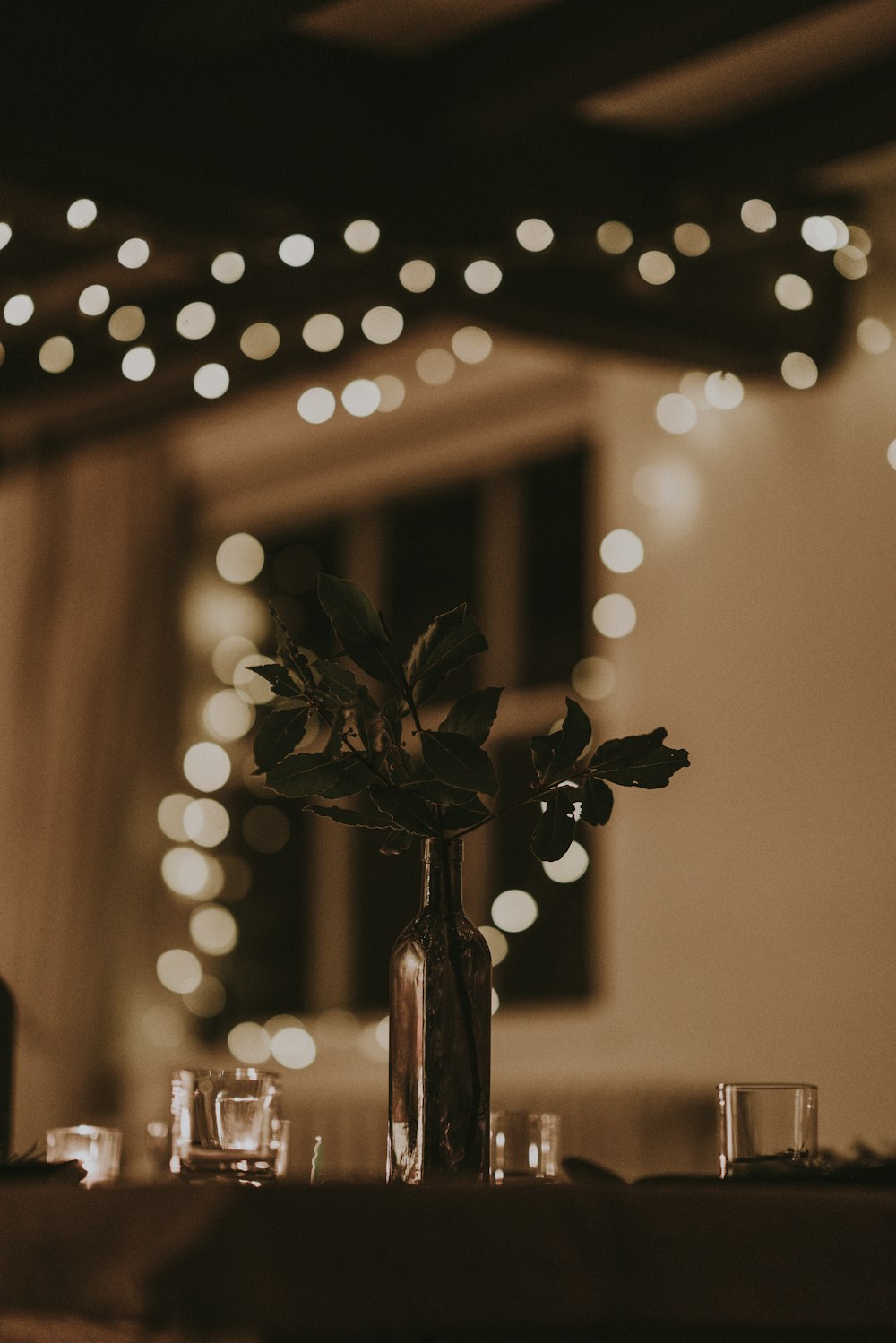 selective focus photography of flower in vase