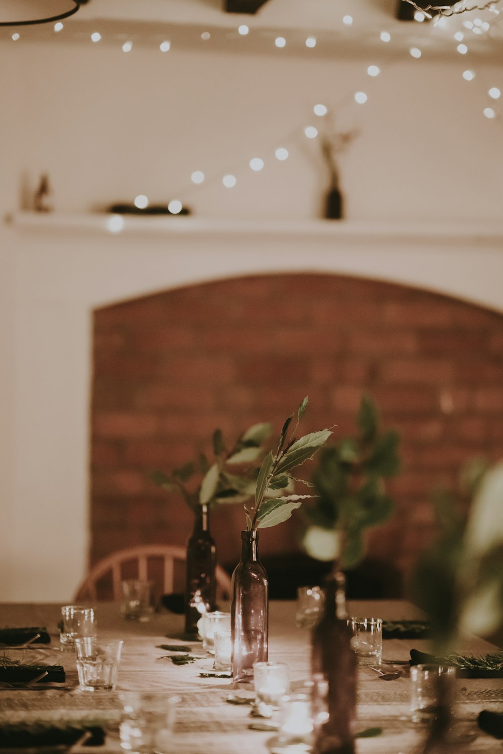 fotografia de foco seletivo de plantas em garrafas de vidro sobre a mesa