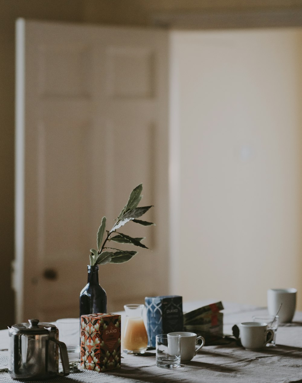 plant in bottle on table by teacups