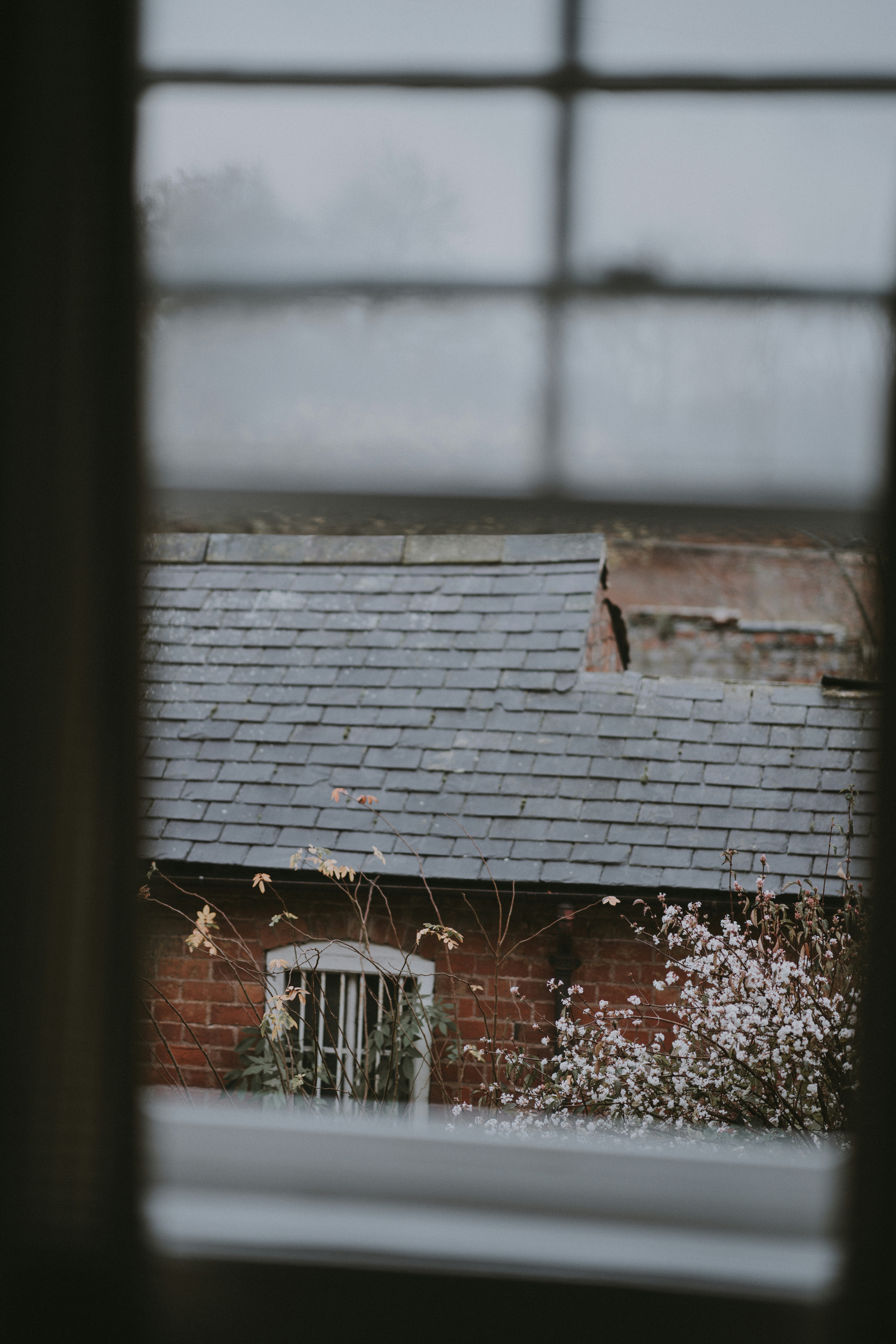 Photo by anniespratt