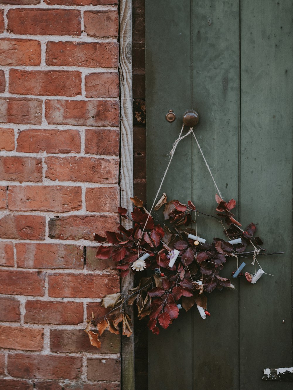 red-leafed plants hanged on door knob