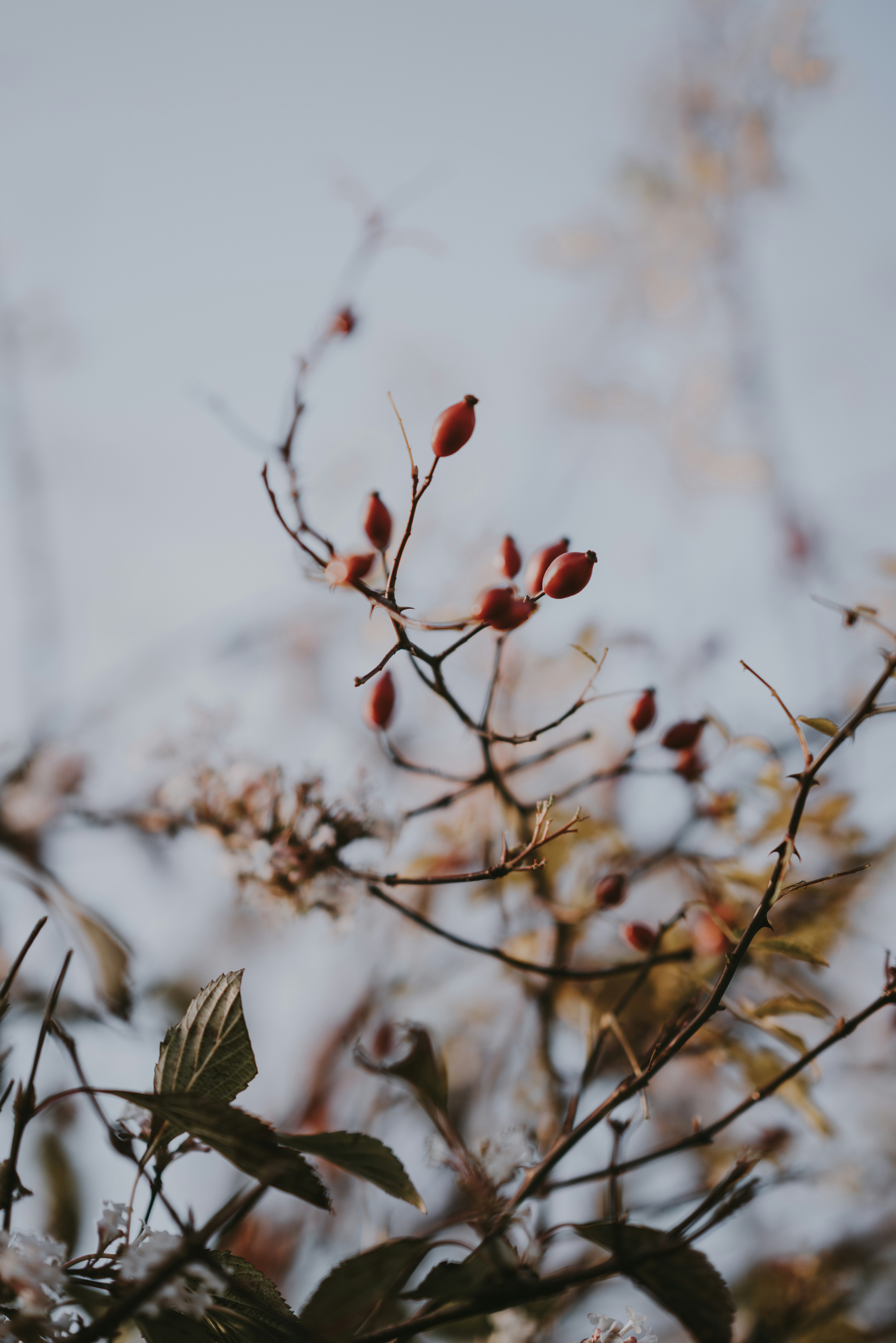 Photo by anniespratt