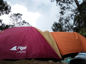 A campsite scene features two tents, one maroon and another orange, set up under a partly cloudy sky. Surrounding the tents are tall trees, adding a natural setting to the site. A pair of shoes is partially visible on the ground, suggesting recent human activity.