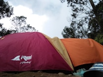 A campsite scene features two tents, one maroon and another orange, set up under a partly cloudy sky. Surrounding the tents are tall trees, adding a natural setting to the site. A pair of shoes is partially visible on the ground, suggesting recent human activity.