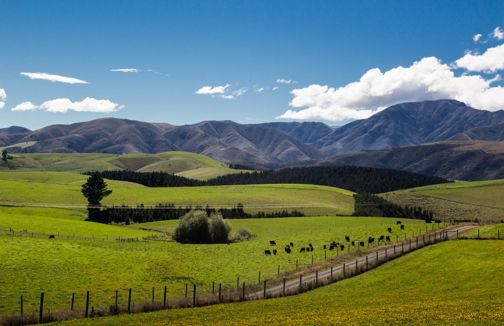 landscape photography of mountain