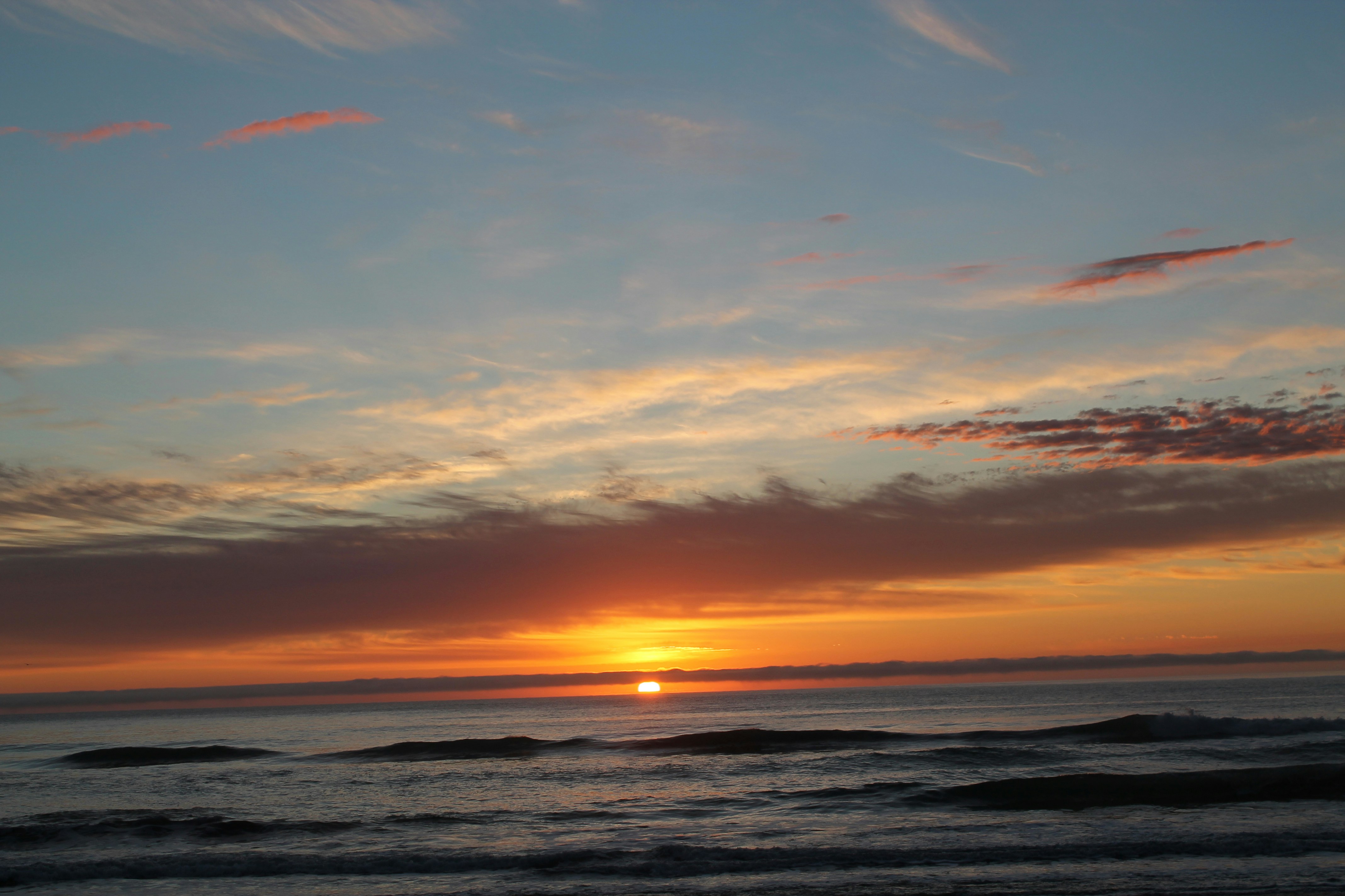 Photo by photographybree