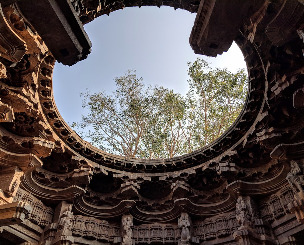 low-angle photography of building near green leaf trees