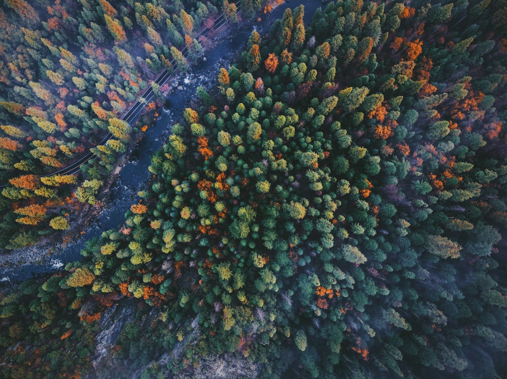 aerial photography of mountain