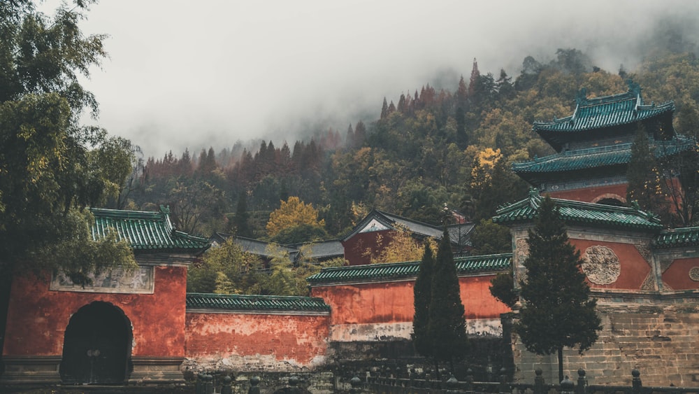 fog covered mountain