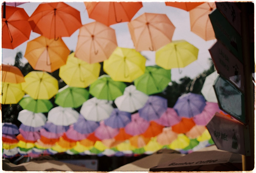 multicolored umbrella decor