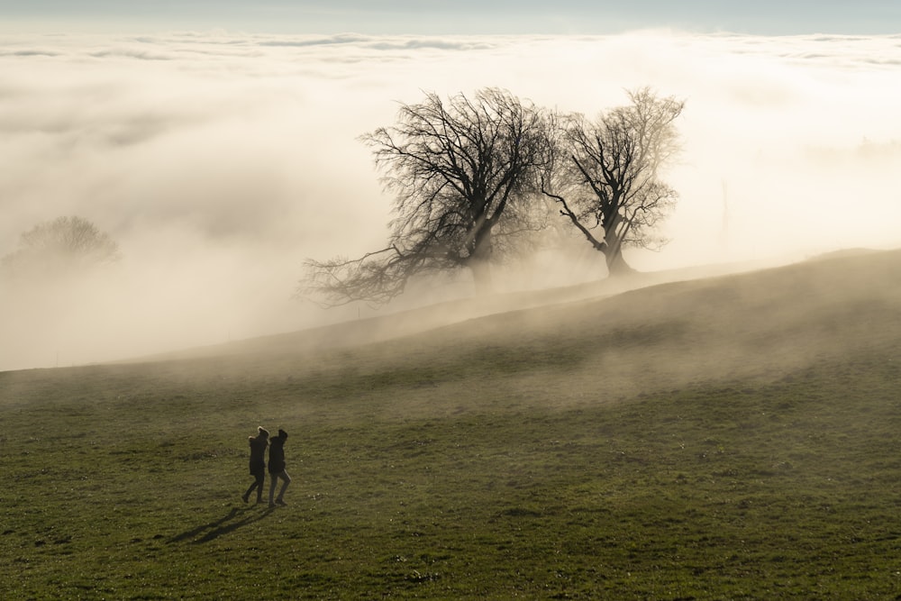 two people walking on grass field