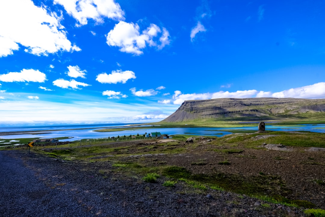 green grass field near body of water