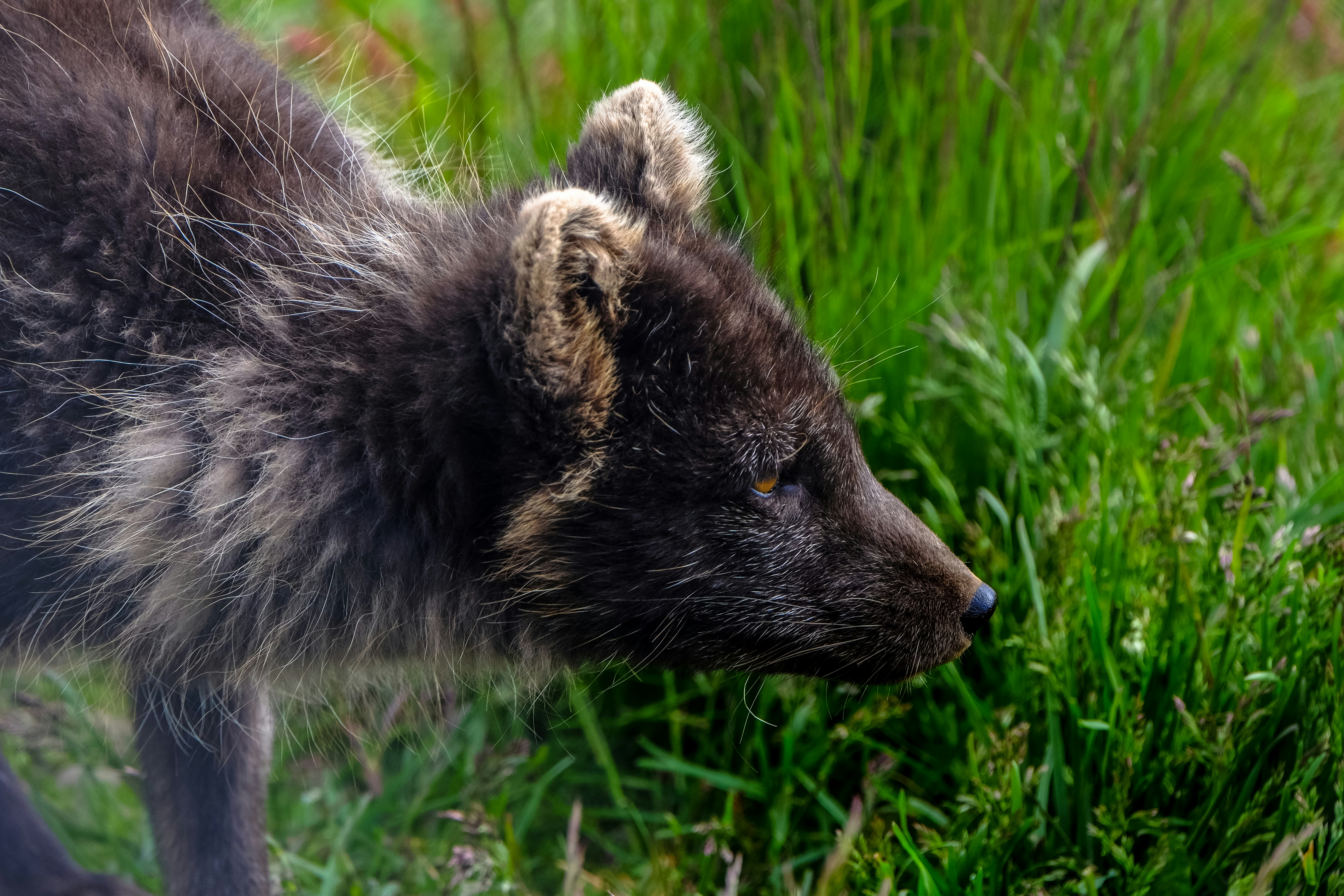 Photo by francesco_ungaro