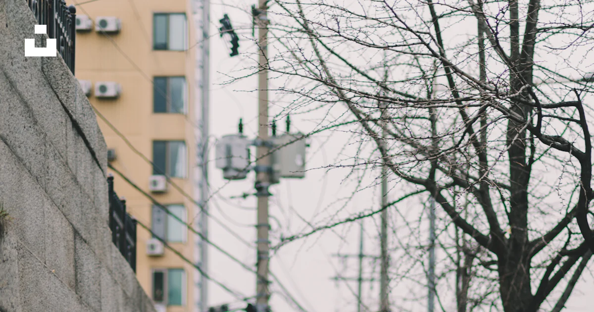 Woman walking alone on pathway near building photo – Free Hyehwa-dong ...