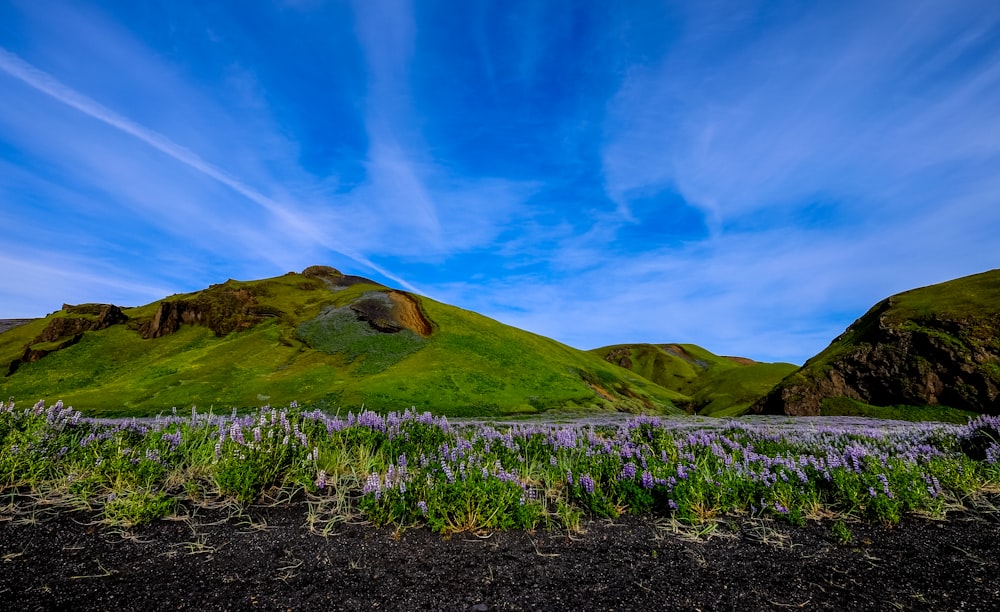 mountain covered with grass during daytime