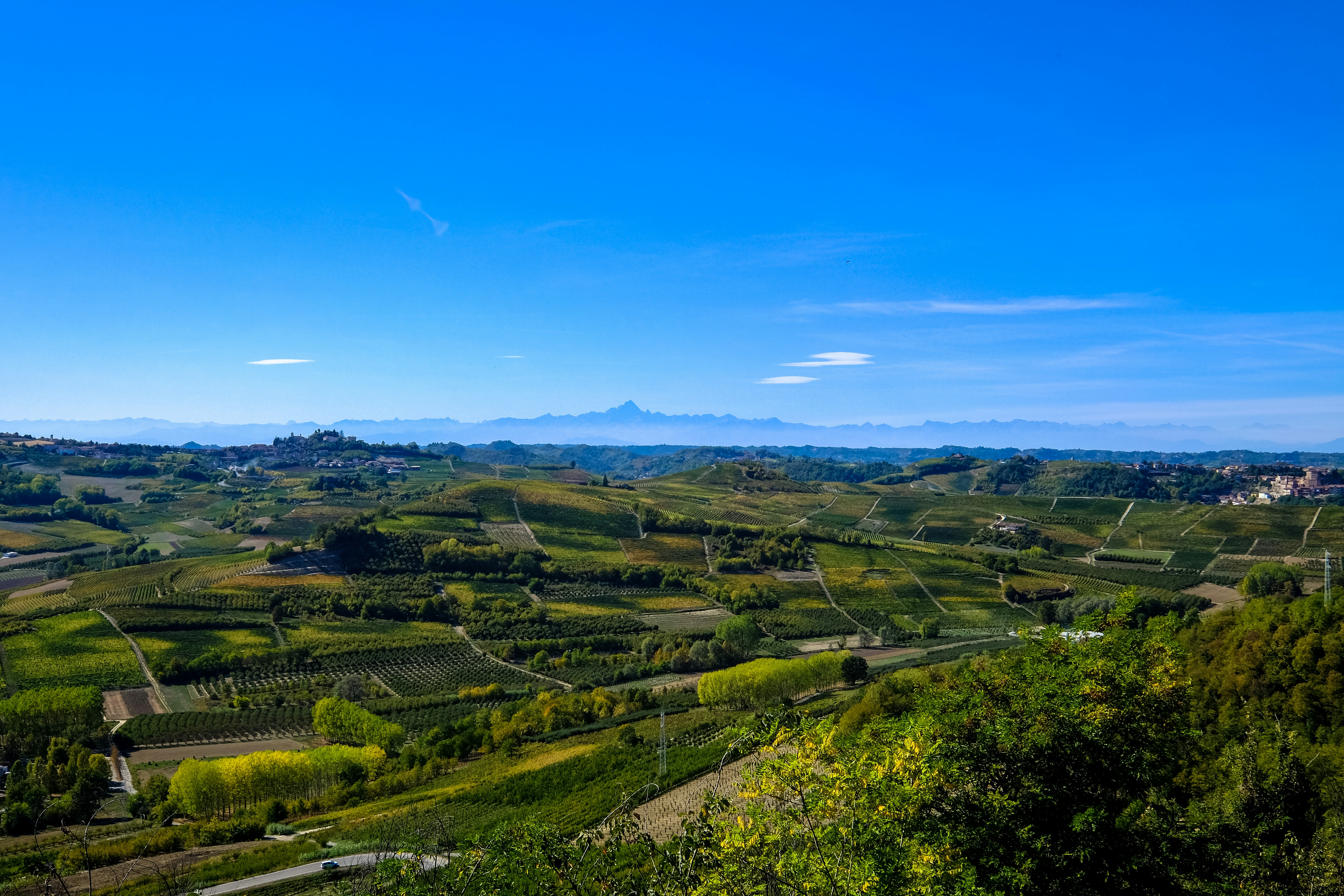 Photo by francesco_ungaro