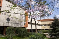 A university building with a sign reading 'T.C. Ankara Üniversitesi Rektörlüğü' is partially obscured by blooming branches in the foreground. The structure is surrounded by well-maintained hedges and trees under a clear blue sky.