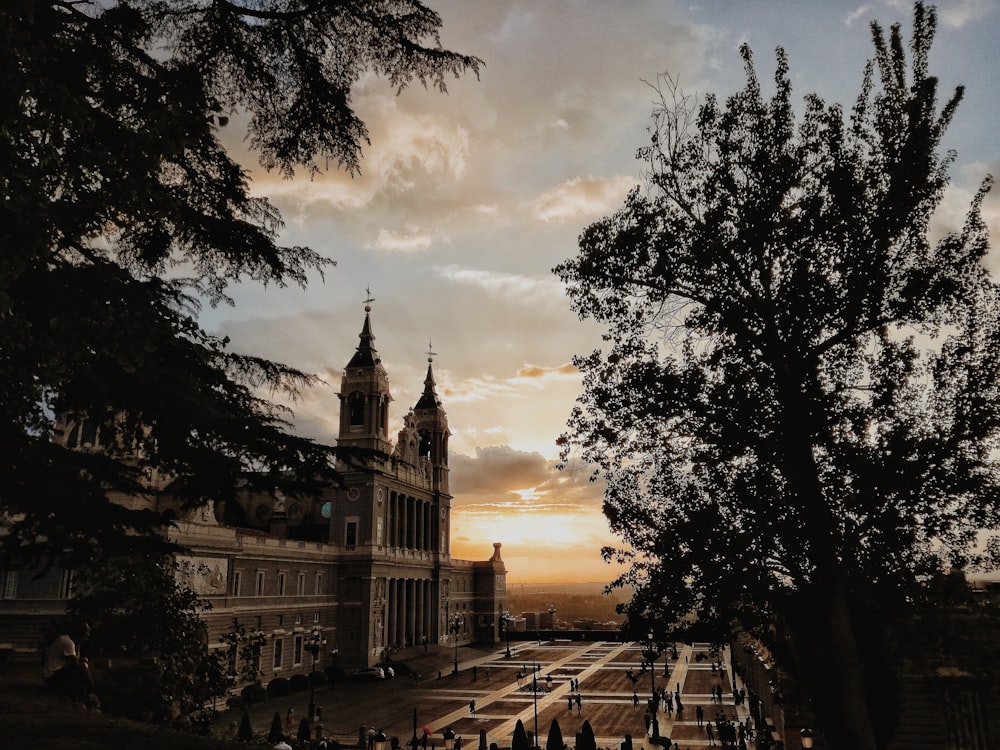 cathedral near trees