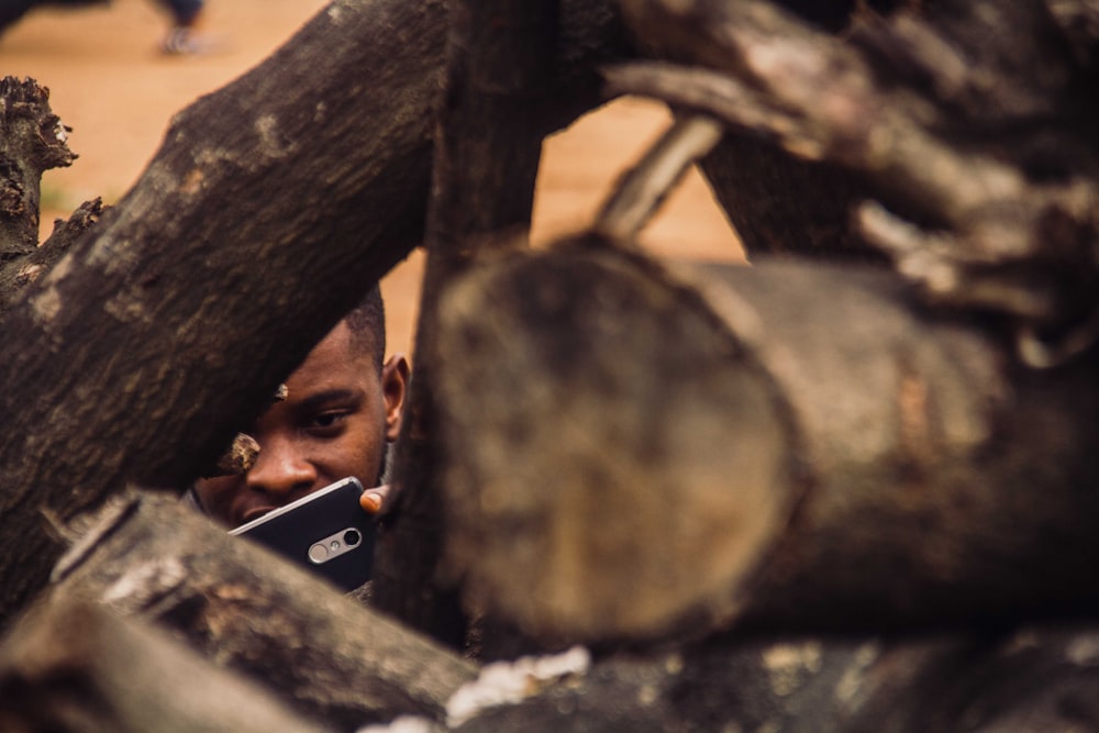 man taking photo of tree logs
