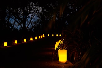 A dark pathway is illuminated by a series of glowing, cylindrical candles placed on the ground, forming a line that guides the eye into the distance. Trees and foliage surround the path, adding an atmosphere of natural serenity.