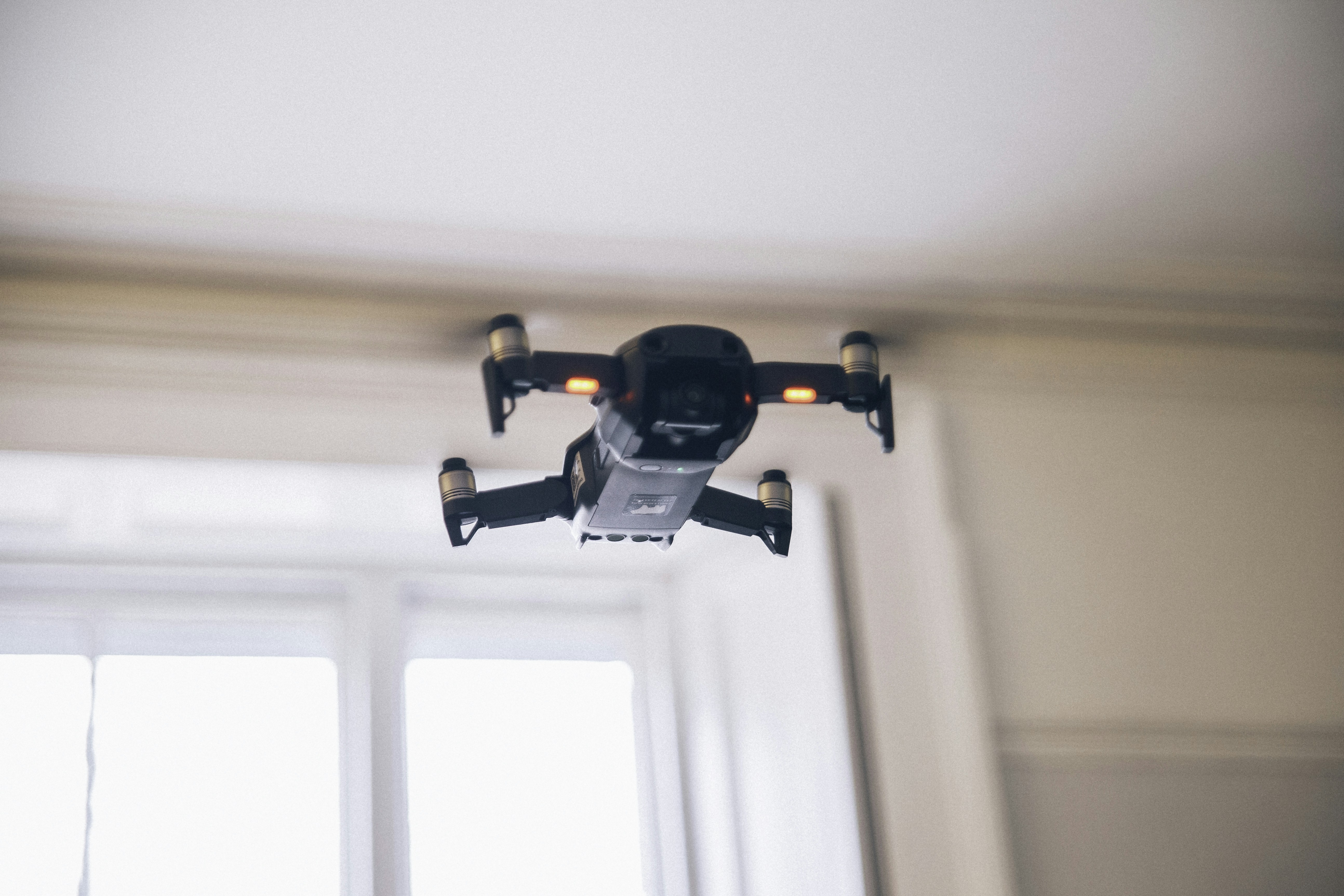 Photo by vanillabearfilms