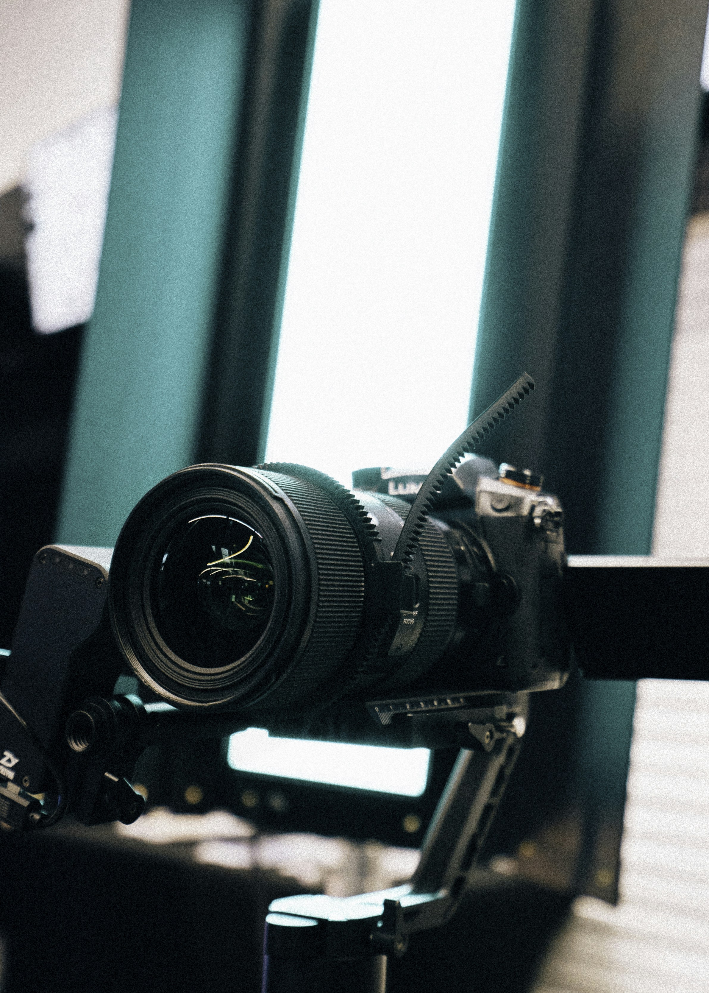 Photo by vanillabearfilms