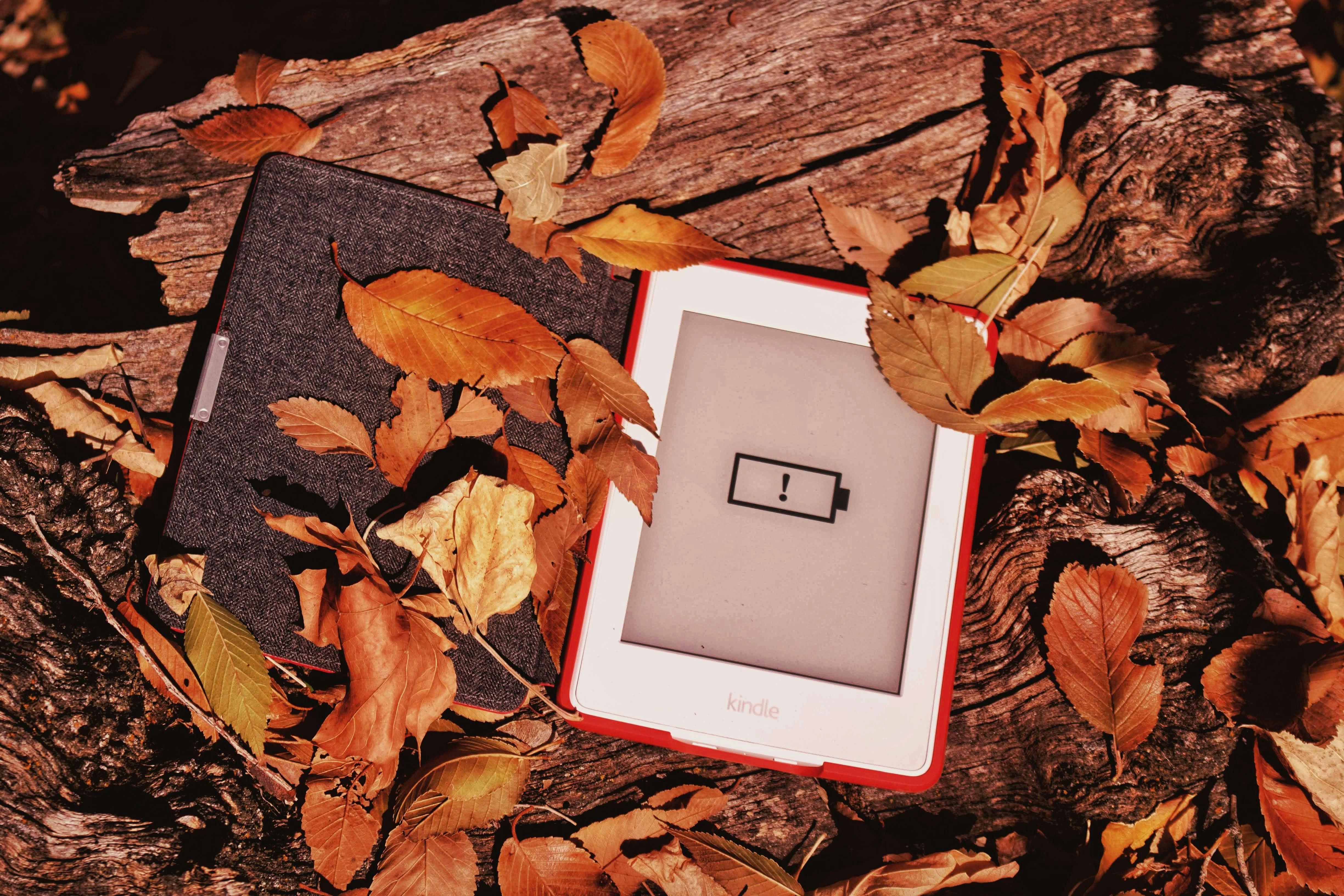 Celulares que se Transformam em Kindle: Durabilidade da Bateria e Custo-Benefício