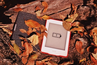 An e-reader with a low battery symbol is nestled among brown and yellow autumn leaves on a textured wooden surface.
