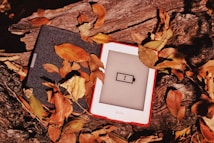 An e-reader with a low battery symbol is nestled among brown and yellow autumn leaves on a textured wooden surface.