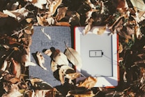 A Kindle device is surrounded by fallen autumn leaves. The e-reader is on the right with a low battery symbol displayed on its screen. The cover is closed on the left, blending with the leaves.