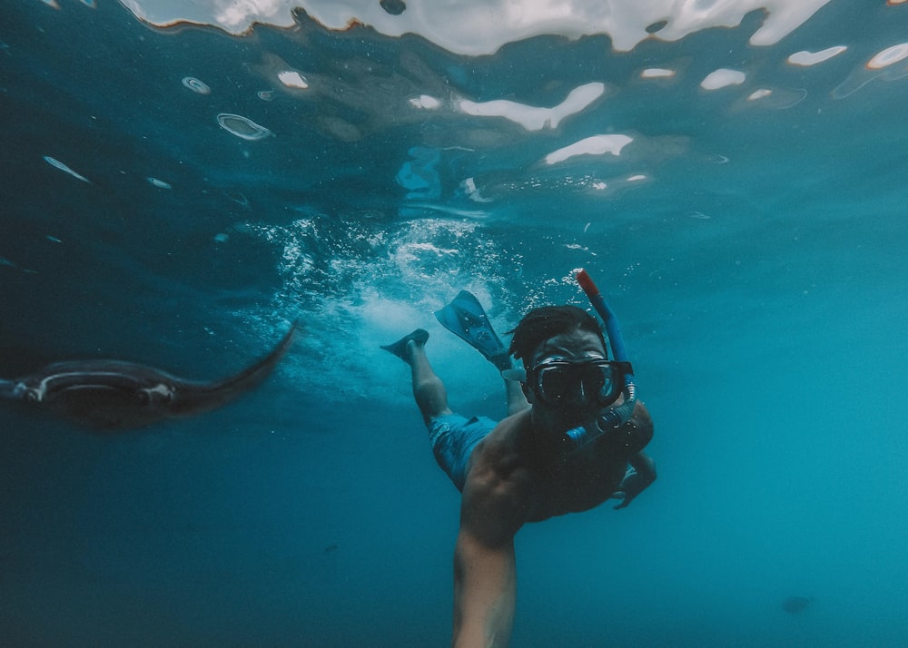 man diving underwater