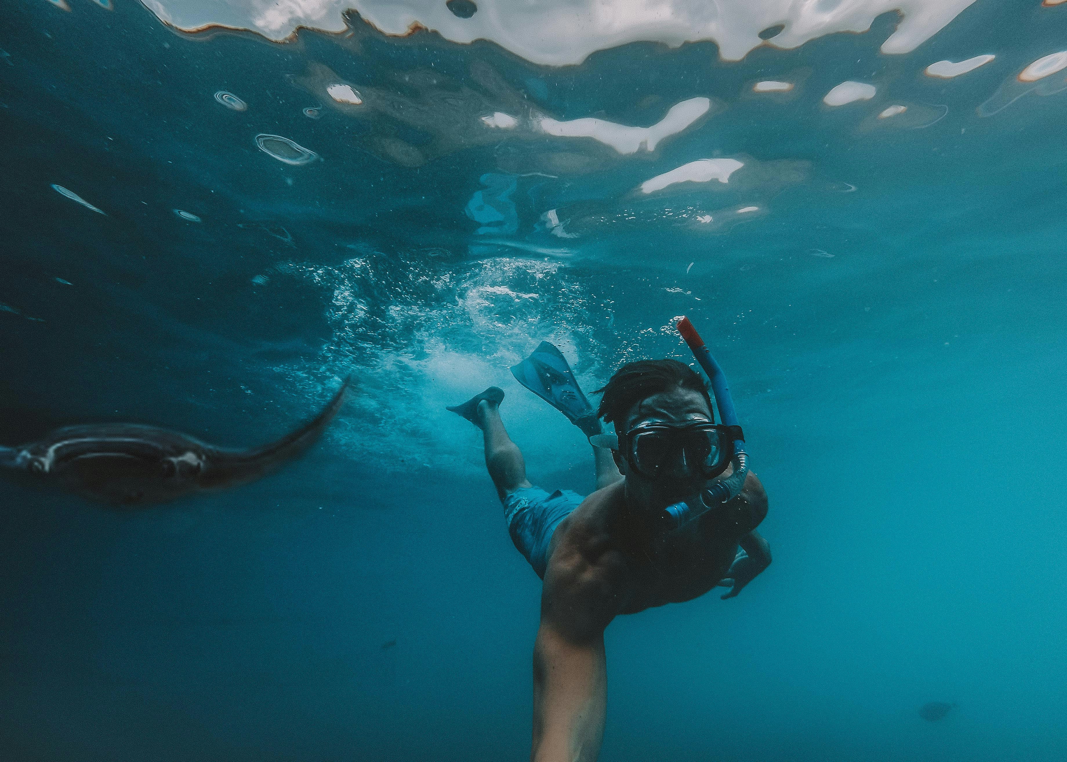 https://images.unsplash.com/photo-1543244176-214a9b199e86?ixlib=rb-1.2.1&ixid=MnwxMjA3fDB8MHxwaG90by1wYWdlfHx8fGVufDB8fHx8&auto=format&fit=crop&w=1000&q=80