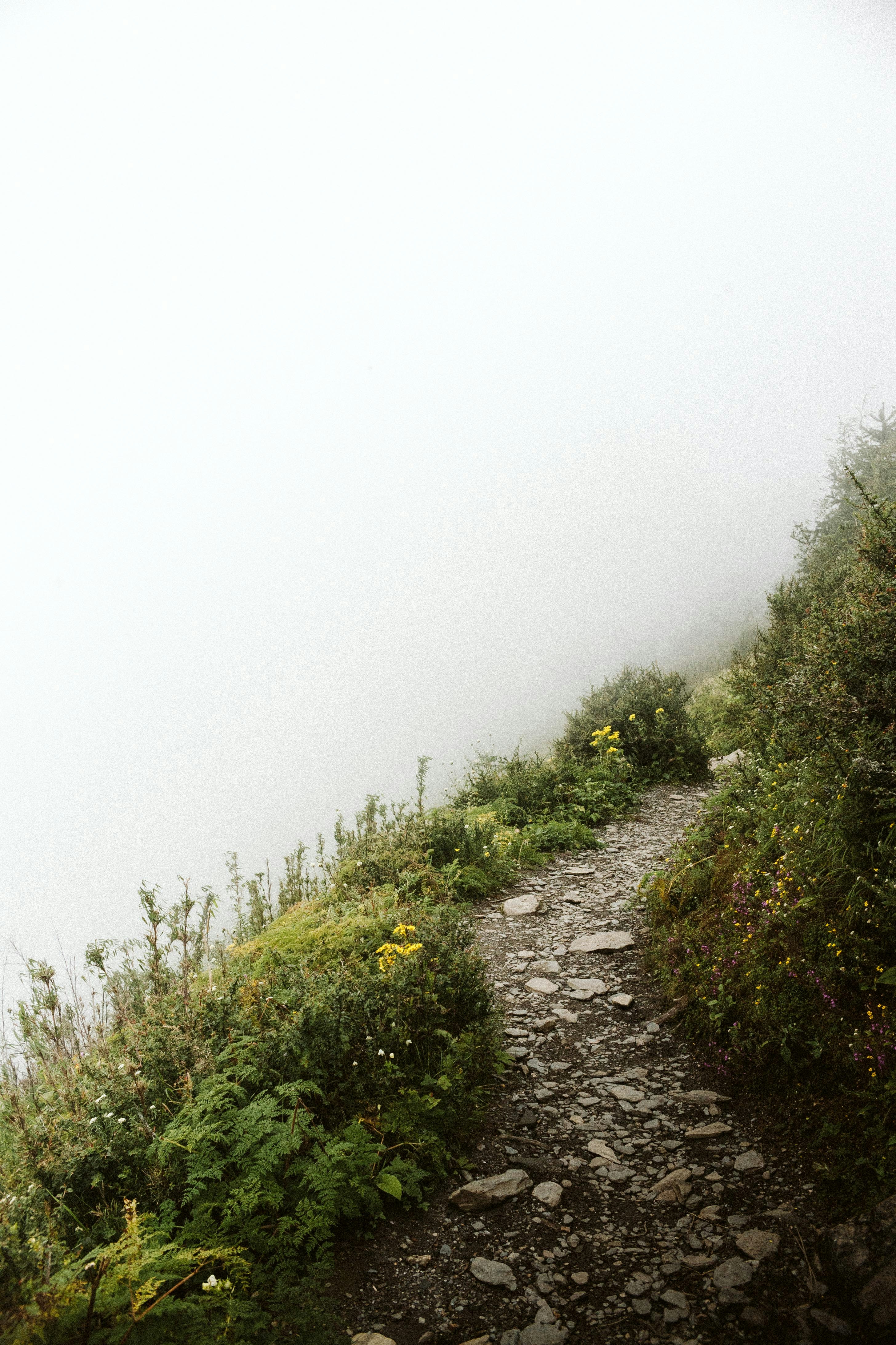 Photo by devonhwilson