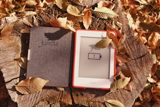 An e-reader with a low battery warning displayed on its screen is placed on a tree stump, covered with colorful autumn leaves. The e-reader has a cover, part of which is opened to reveal the screen.