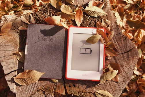 An e-reader with a low battery warning displayed on its screen is placed on a tree stump, covered with colorful autumn leaves. The e-reader has a cover, part of which is opened to reveal the screen.