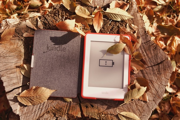 An e-reader with a low battery warning displayed on its screen is placed on a tree stump, covered with colorful autumn leaves. The e-reader has a cover, part of which is opened to reveal the screen.