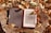 An e-reader with a low battery warning displayed on its screen is placed on a tree stump, covered with colorful autumn leaves. The e-reader has a cover, part of which is opened to reveal the screen.