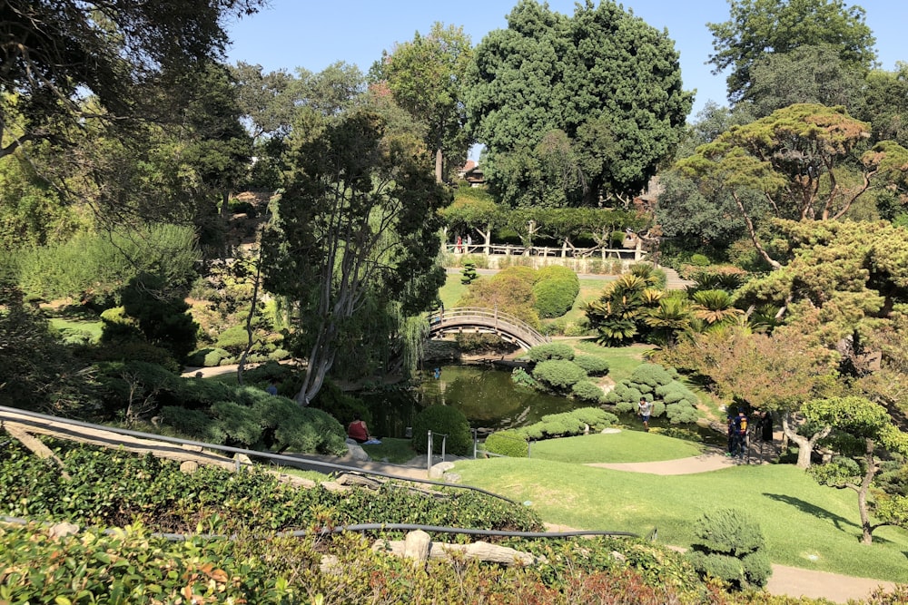 green trees on park