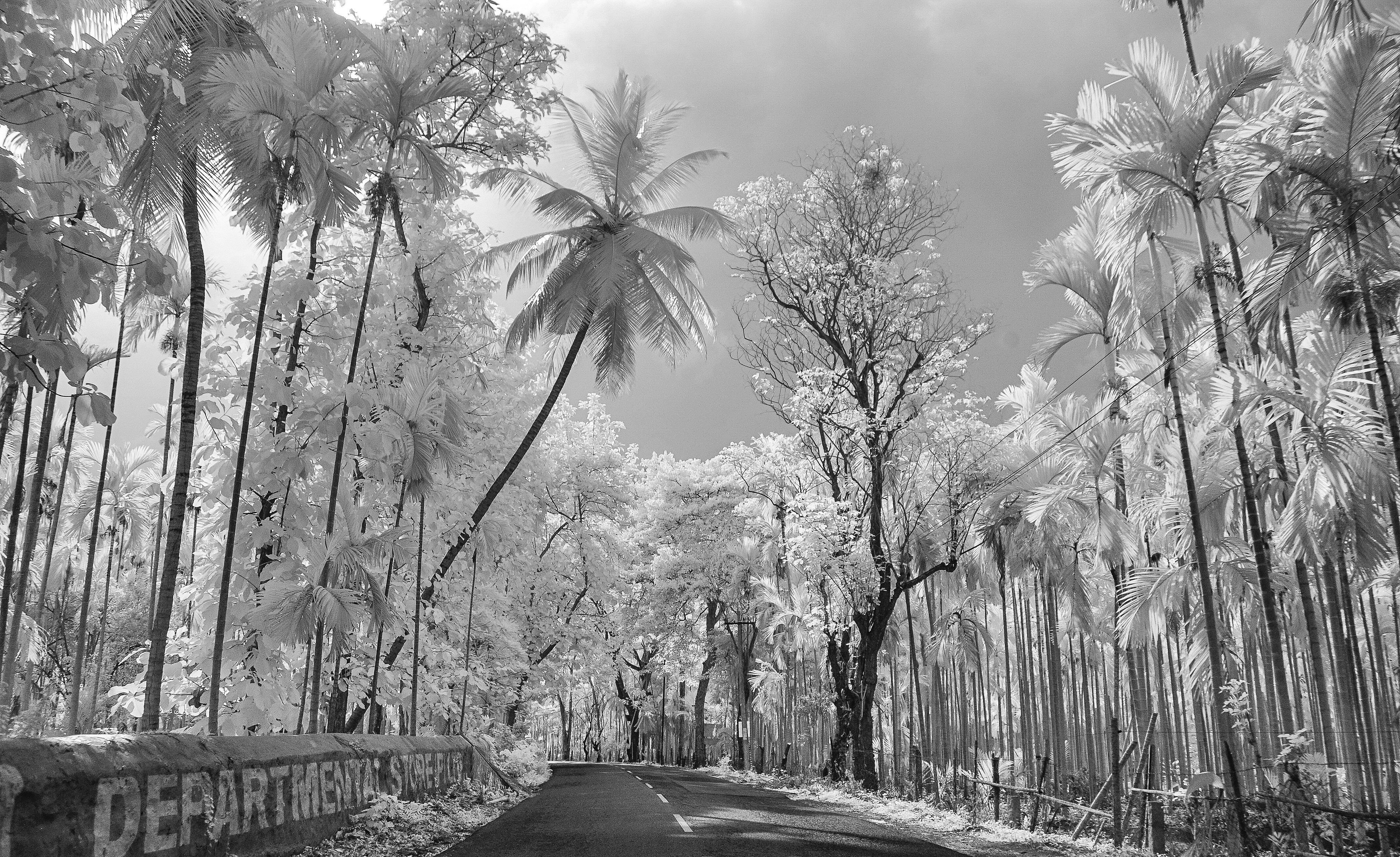 photo-1543249992-6eba25407af1?ixid=M3wxMjA3fDB8MXxzZWFyY2h8MTl8fCVEMCU5QSVEMCVCRSVEMCVCQyVEMCVCRCVEMCVCMCVEMSU4MiVEMCVCMCUyMCVEMCVCNCVEMCVCQiVEMSU4RiUyMCVEMCVCNCVEMCVCRSVEMCVCRiVEMSU4MCVEMCVCRSVEMSU4MSVEMCVCRSVEMCVCMiUyMDE1JTIwJUQxJTgxJUQwJUI1JUQxJTgwJUQwJUI4JUQxJThGJTIwMjUuMTIuMjAyNHxlbnwwfHx8fDE3MzEwMTkwMzh8MA\u0026ixlib=rb-4.0.3