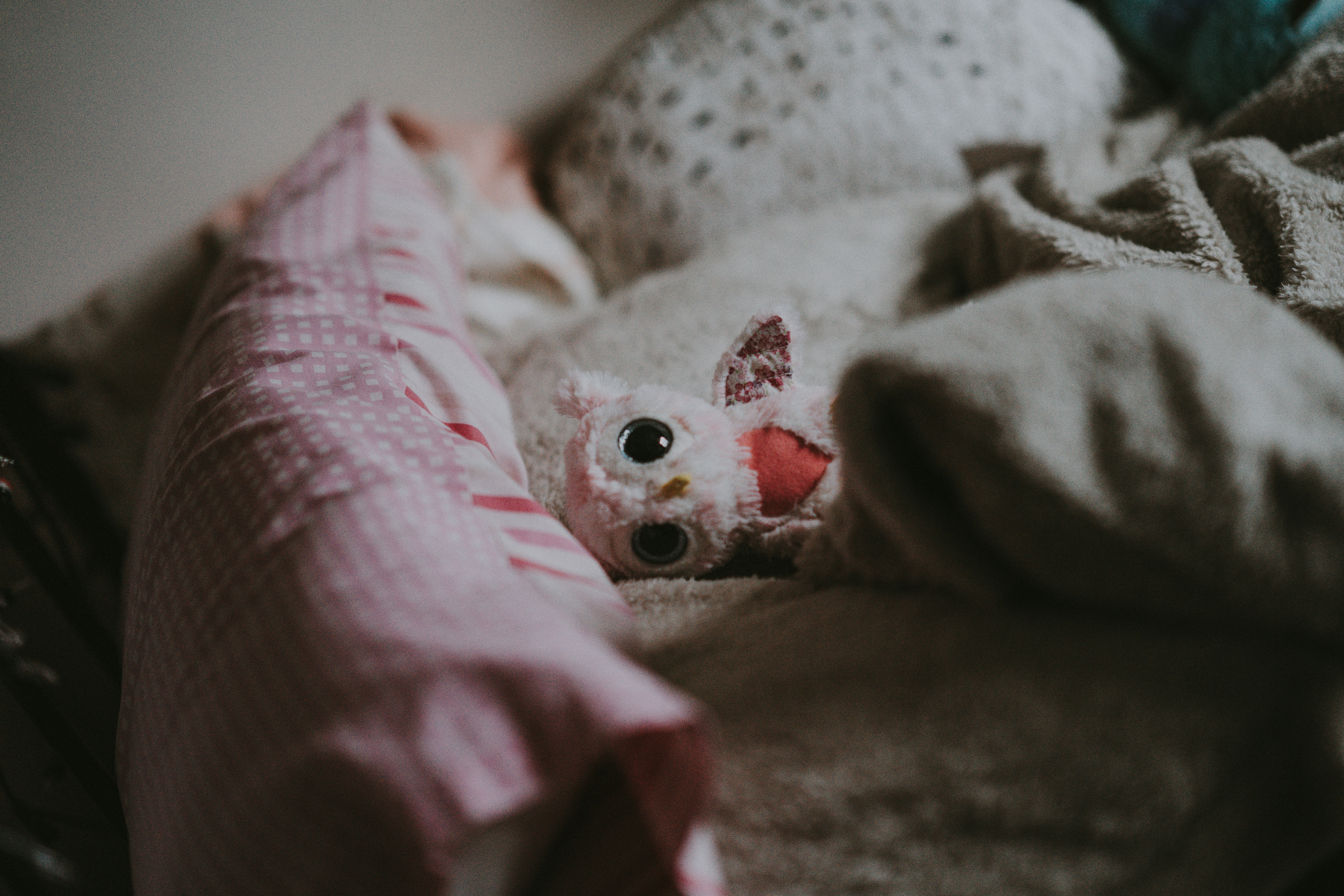 Photo by anniespratt