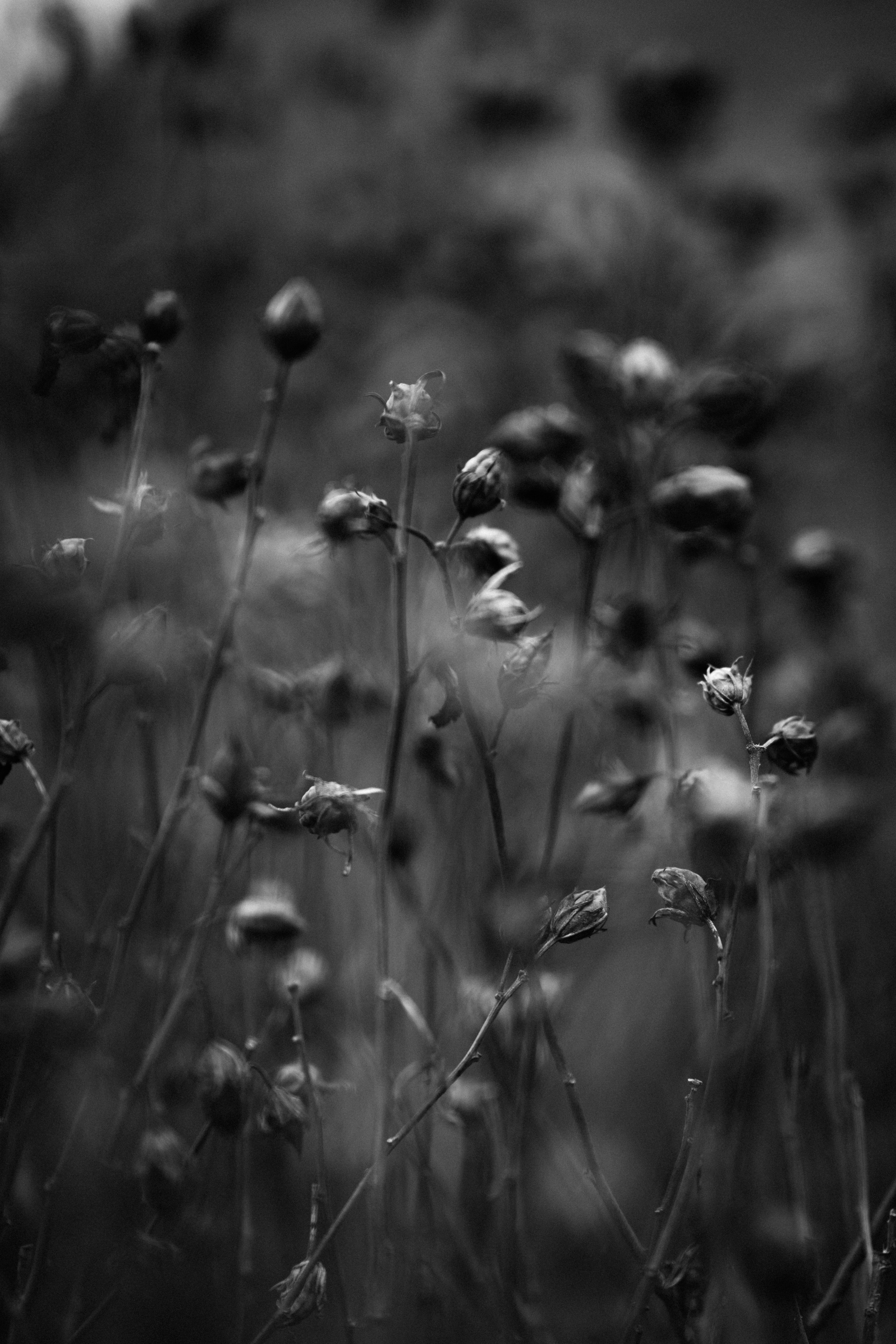 Photo by anniespratt