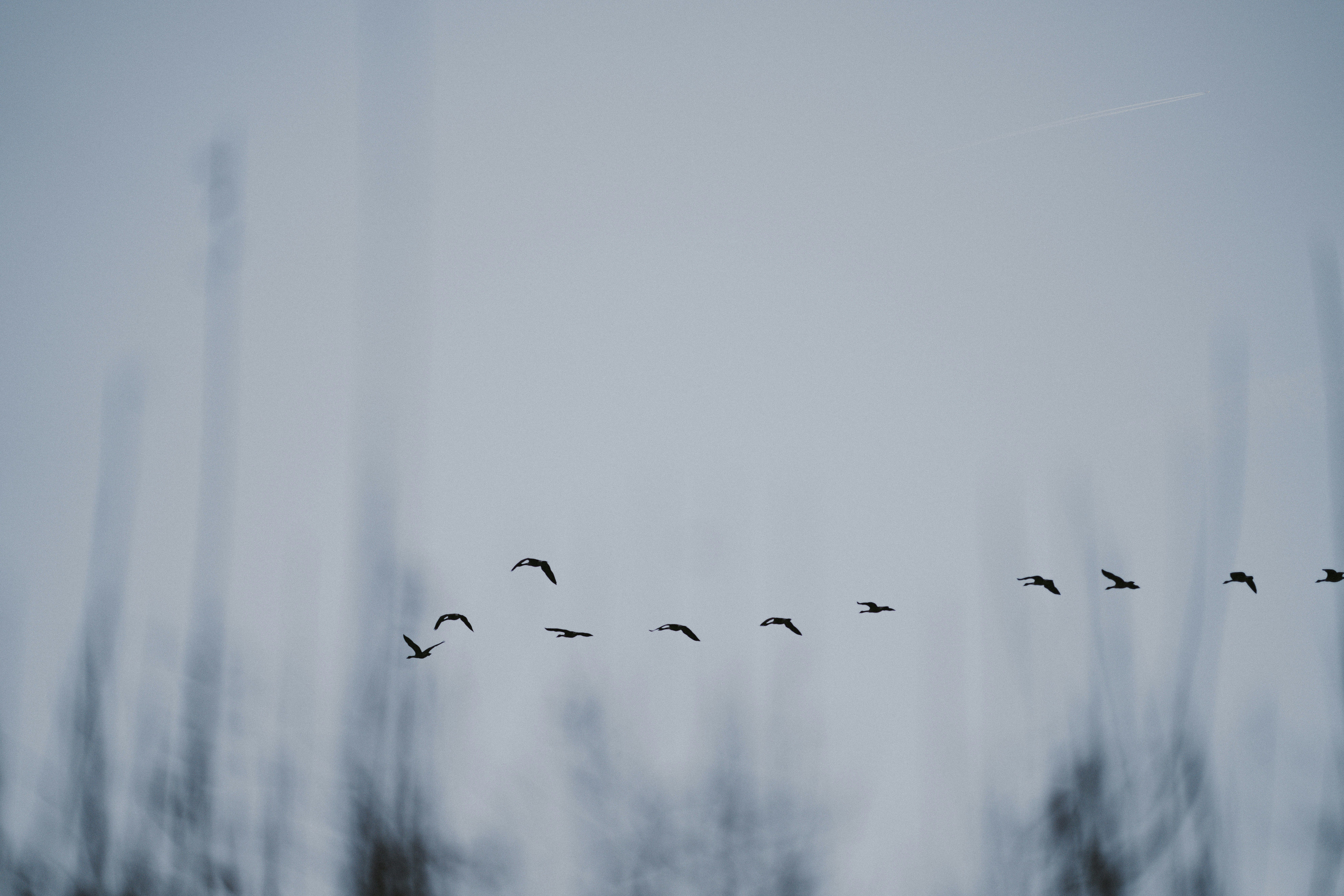 Photo by anniespratt