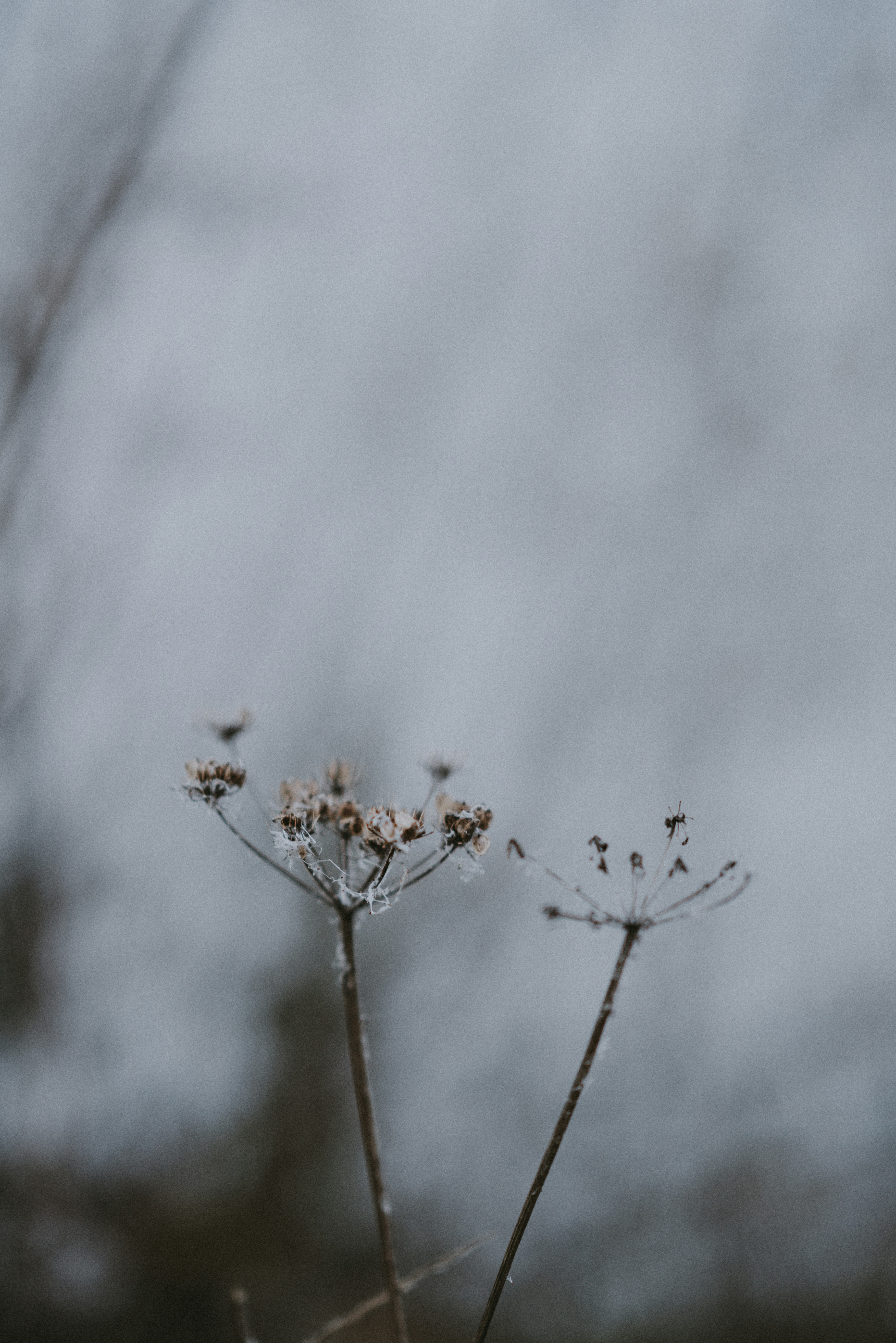 Photo by anniespratt