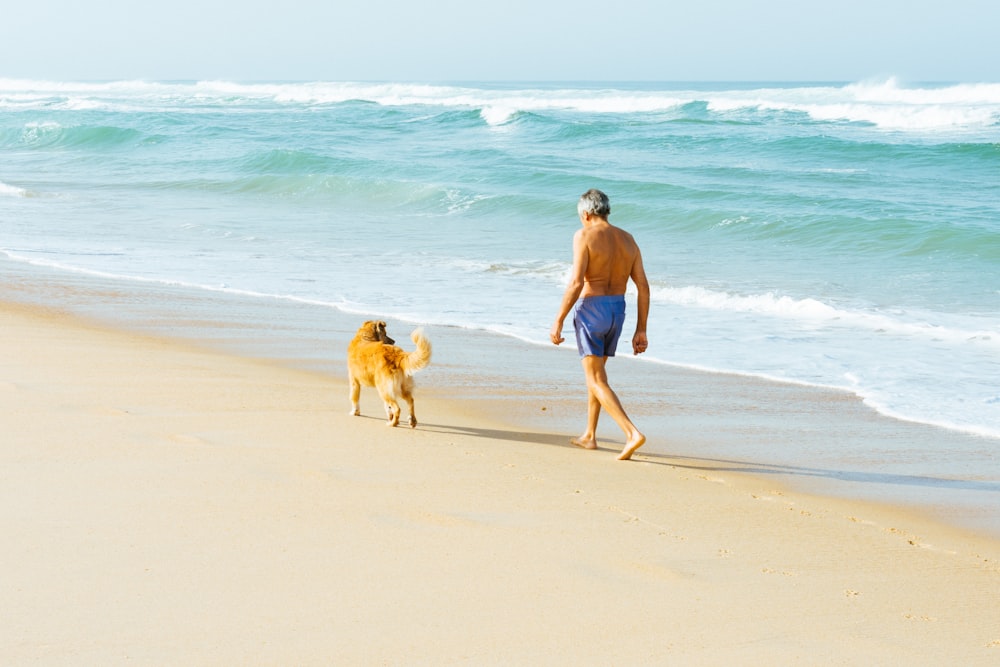 man in blue board shorts with dog walking at the shore