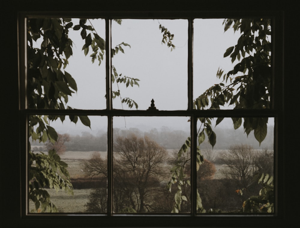 Fenster mit Blick auf grüne Bäume