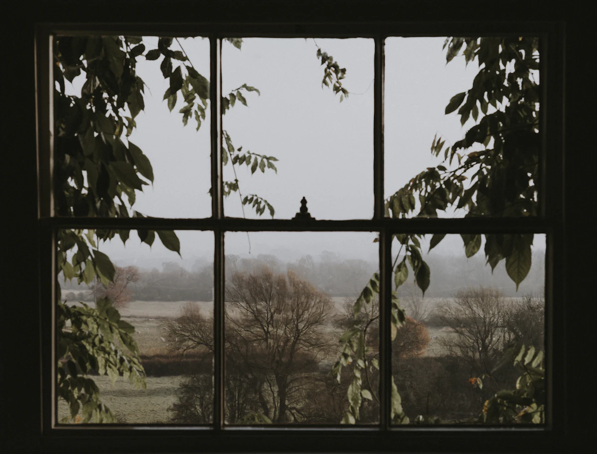 Fixed & Picture Windows: Tree View Picture Window