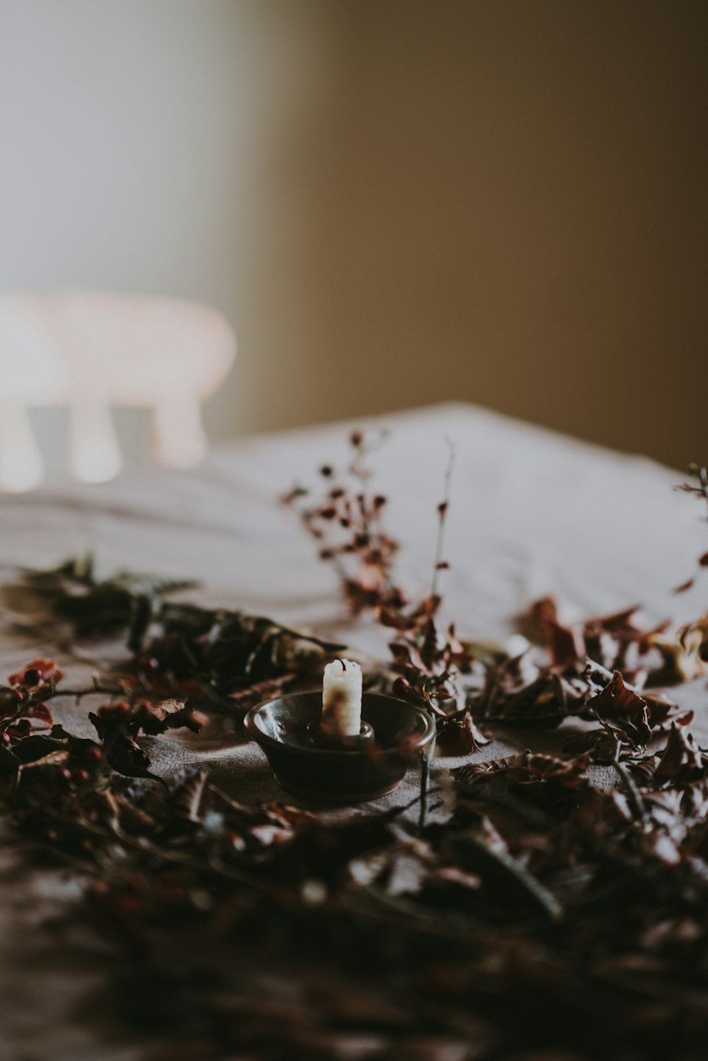 candle on saucer surrounded by dried leaves