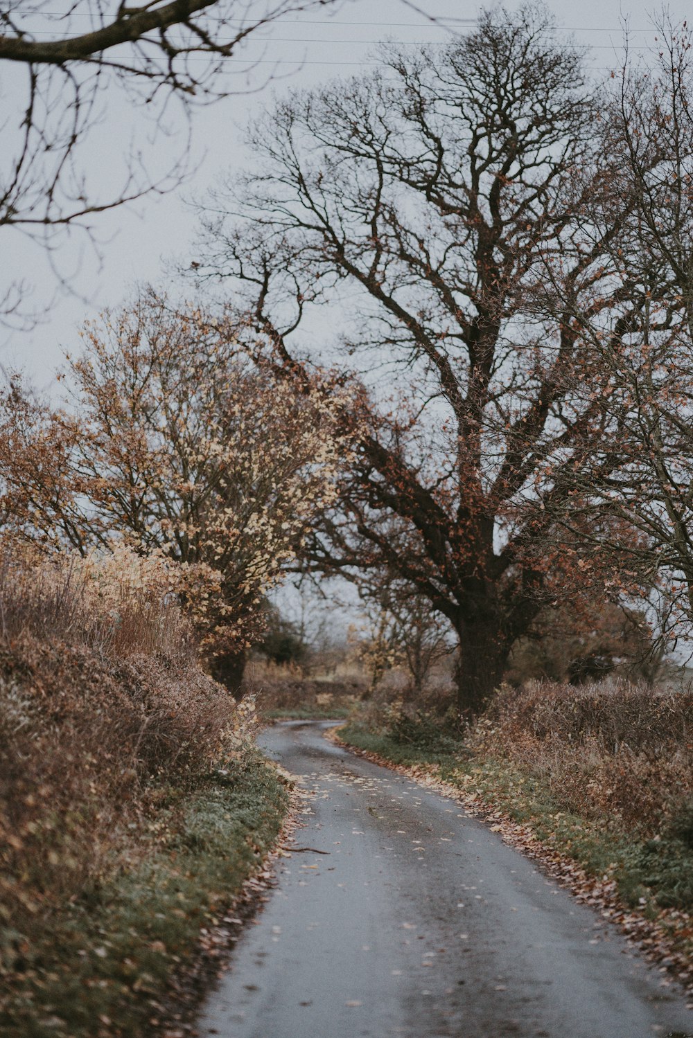 empty gray concrete road